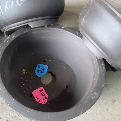 紫砂花盆100.3。41-16