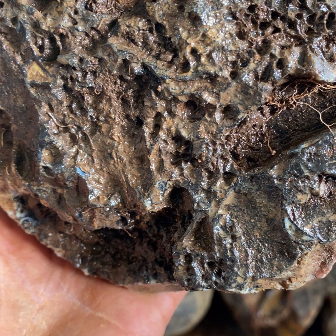 白***风定制玛瑙玛瑙手镯私人定制不退不换