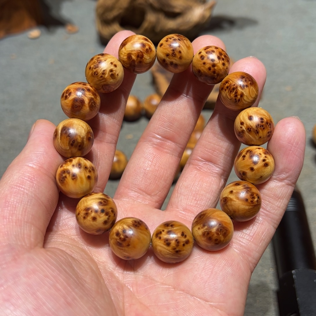 柏木（崖柏）北太行陈化崖柏