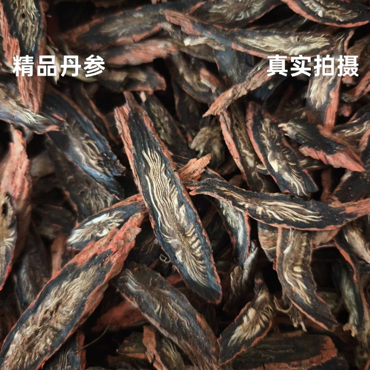 【大号紫皮丹参】秦岭大号发汗丹参主根切片深山采挖高含量出口级