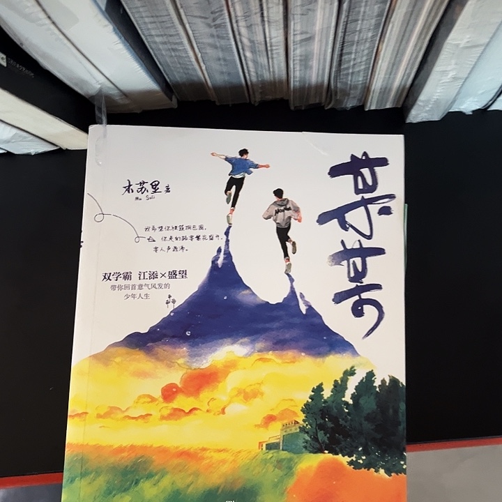 某某全新全套三本带周边未删减