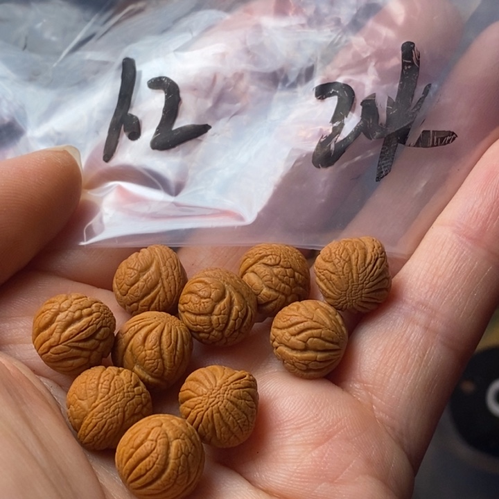 手串文玩核桃秦岭野生龙纹桃核12