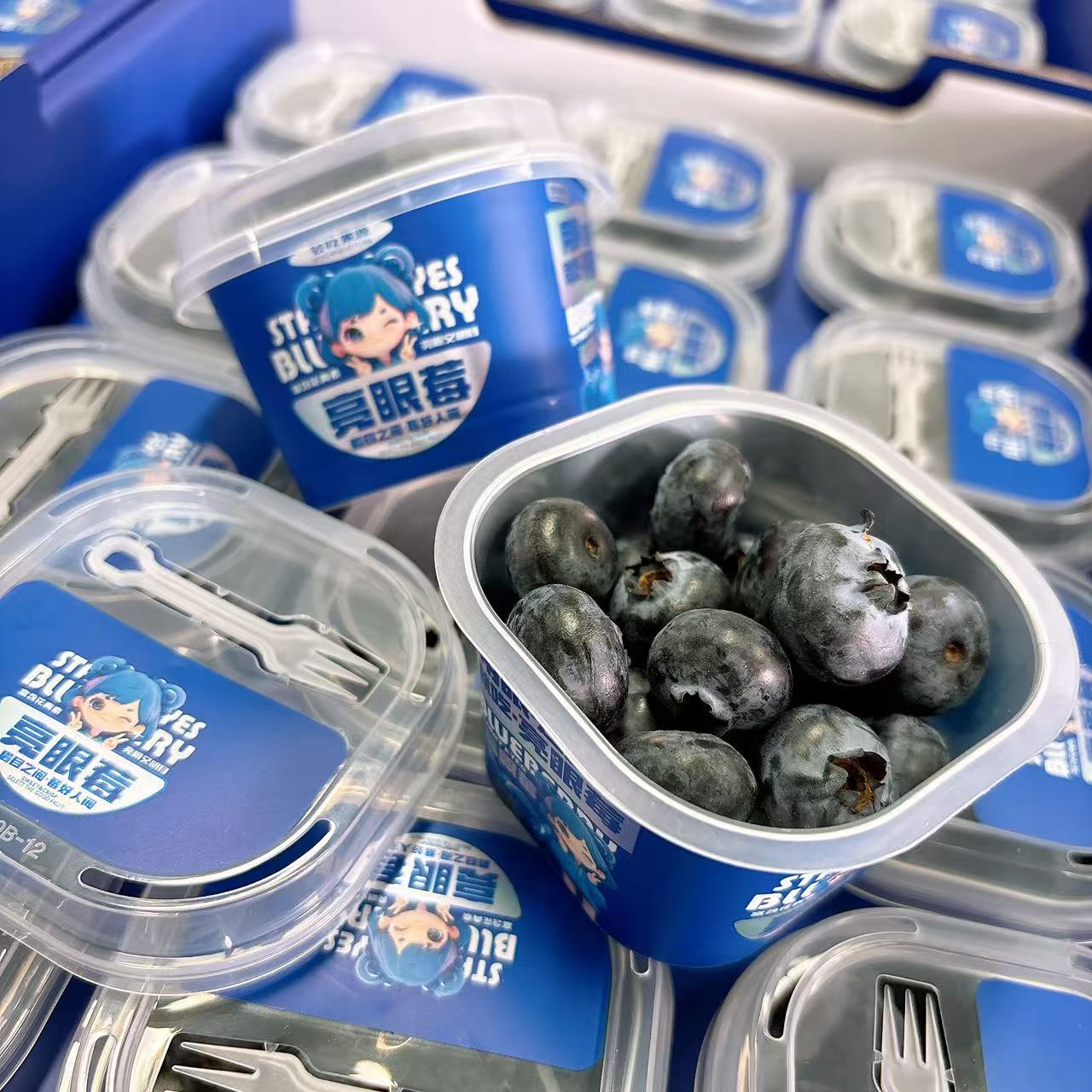 【18mm＋】会吃果源  L25云南蓝莓  50g/盒  *12盒  