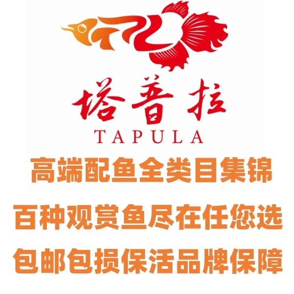 塔普拉-直播间热带观赏鱼猛鱼选鱼专用链接