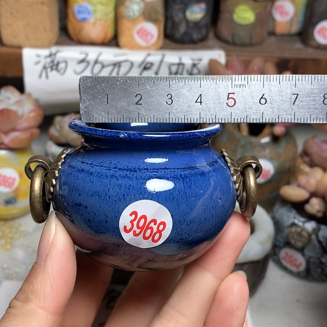 红陶拍5送一个小