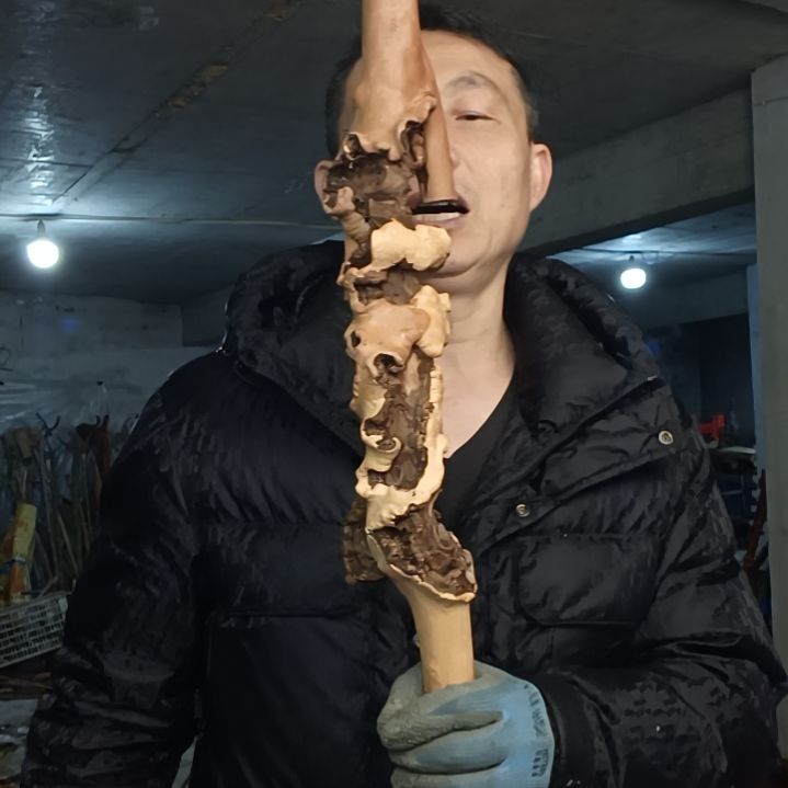 稳定木三**瑰贵州檬子木   铁马鞭   根艺  半成品