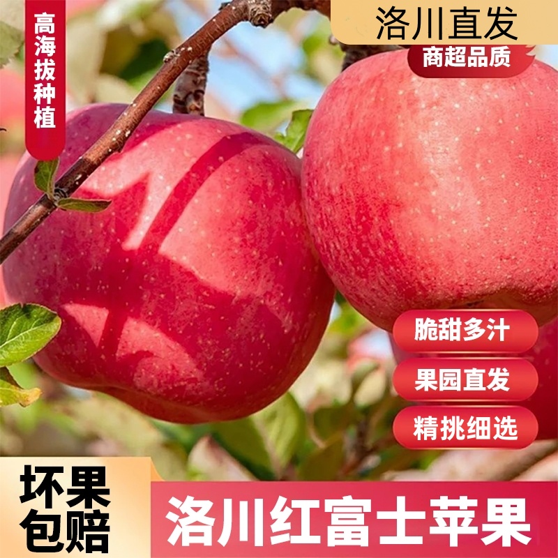 【正宗洛川苹果带箱9-10斤】陕西红富士苹果精选脆甜汁产地直发zlc.