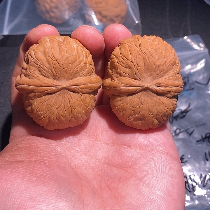 手串/手链核桃42全品元宝。