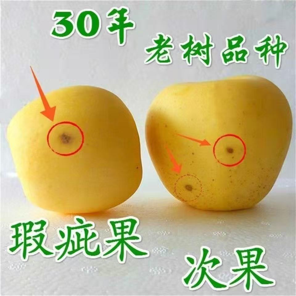瑕疵冰雹果奶油富士苹果现摘现发脆甜多汁产地直达