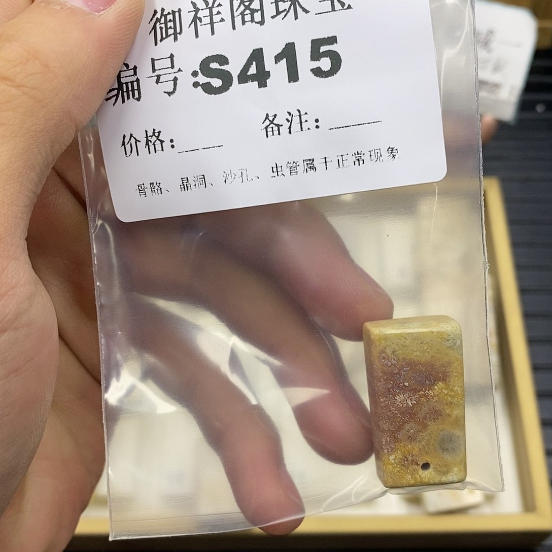 硅化珊瑚（珊瑚玉）未镶嵌颈饰喜*多