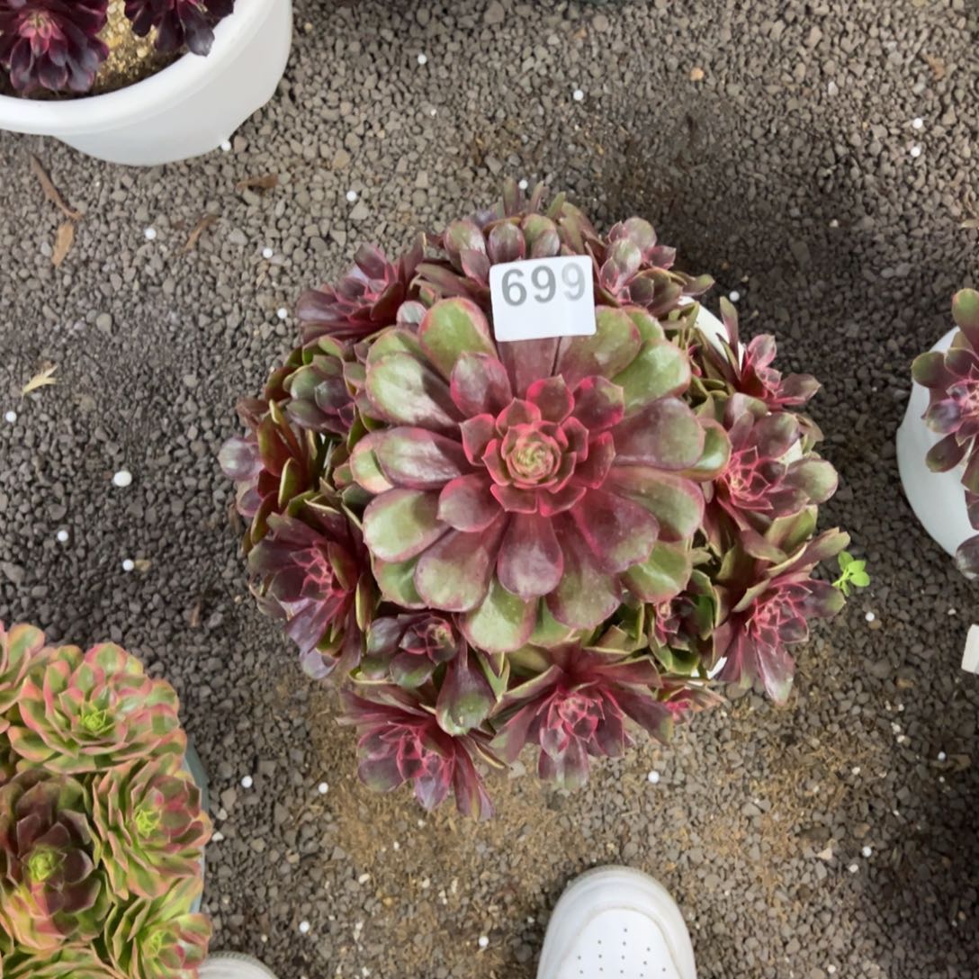 我是真的很喜欢这个