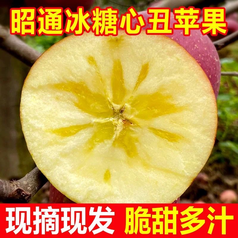 正宗昭通糖心丑苹果脆甜多汁现摘现发