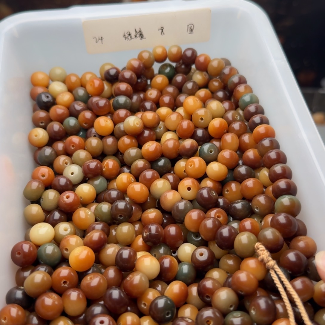 菩提根/象牙果吊坠120 颗油膏敦煌 10 苹果