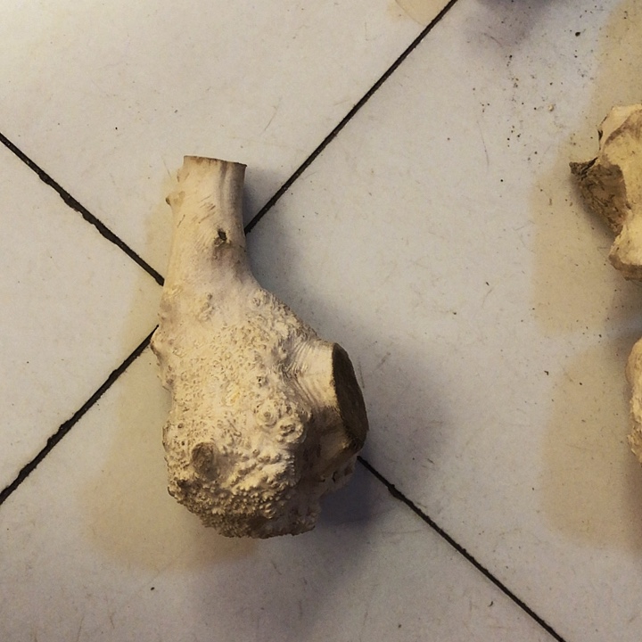 用***2木木料木料木料木料