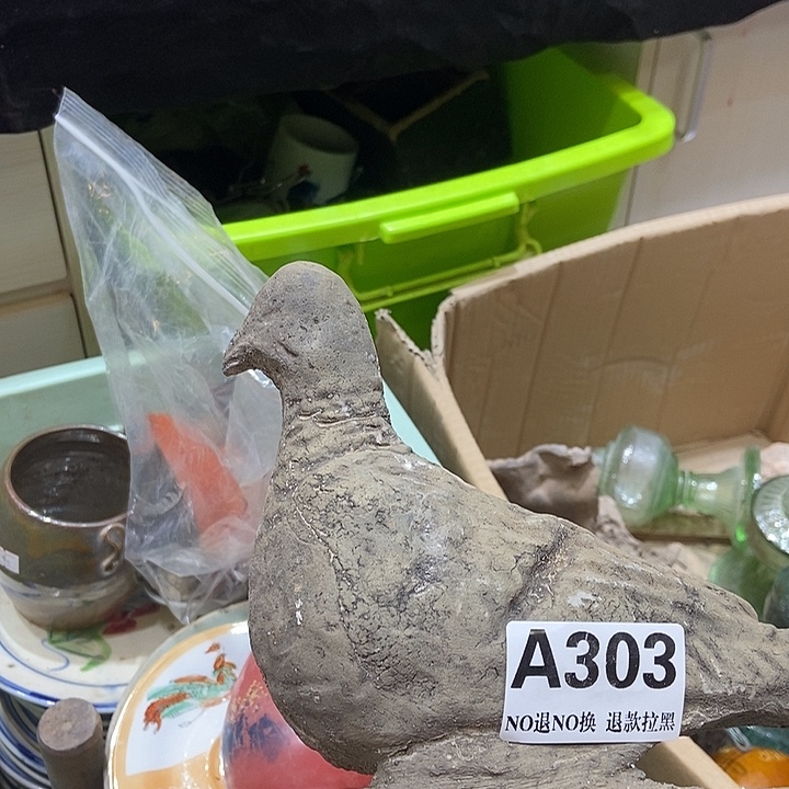 l***l有机玻璃303鸽子一个66