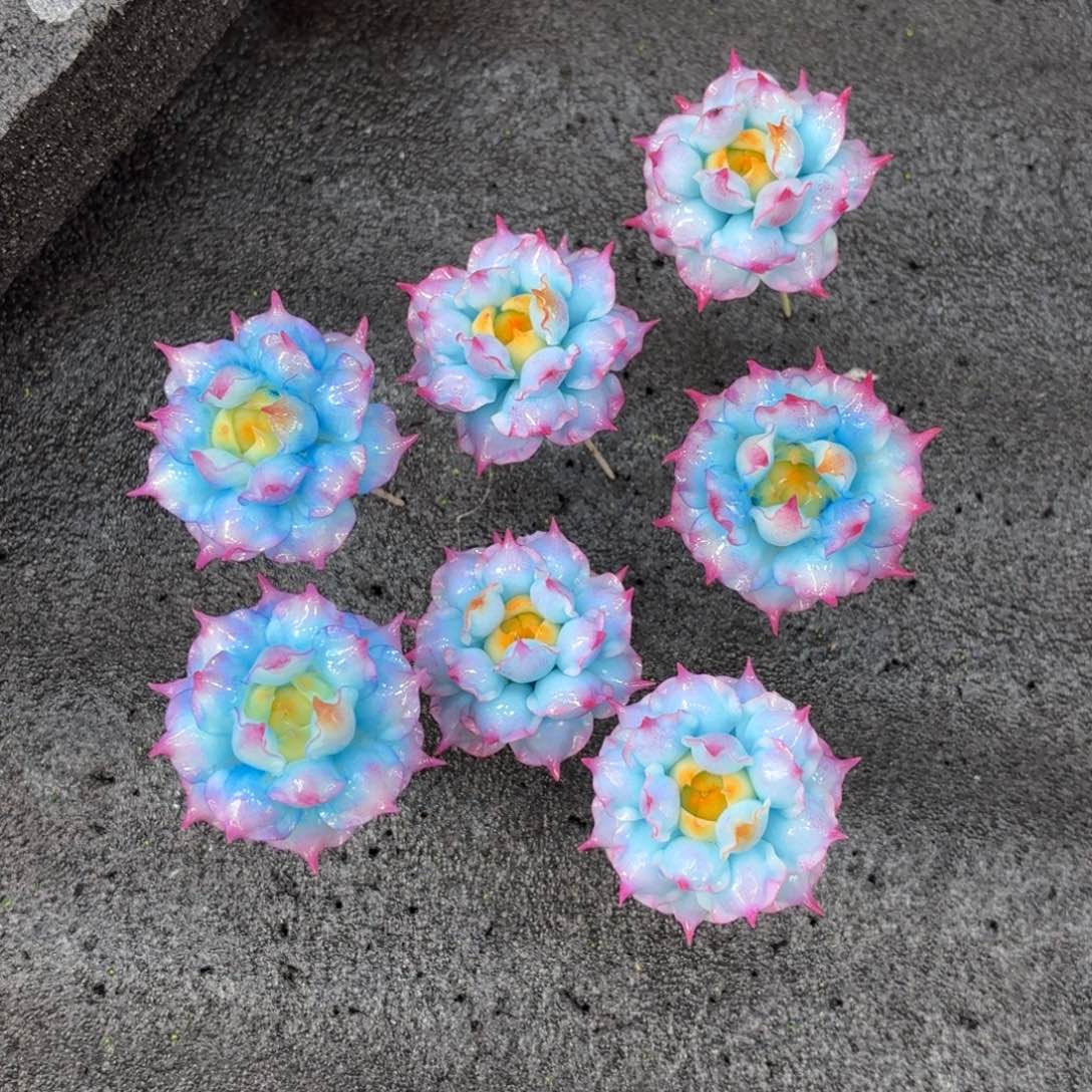 树脂制品60号莫莫莫