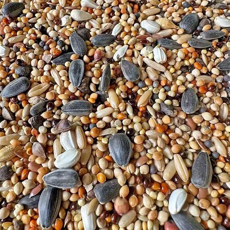 鹦鹉鸟粮饲料混合营养粮鸟粮