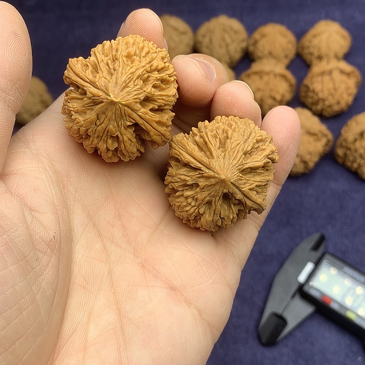 吊坠文玩核桃35九龙筋 小黄尖