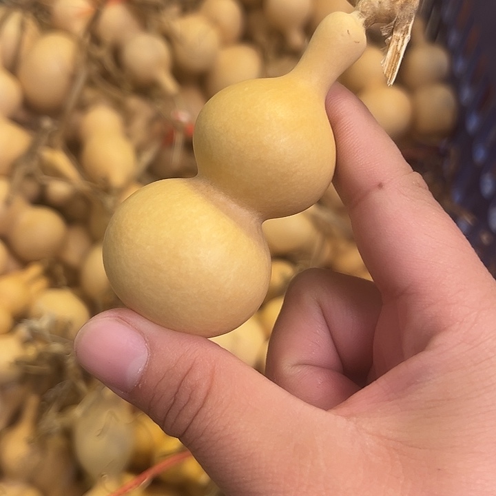 往***风有机玻璃蚂蚁蚂蚁蚂蚁蚂蚁