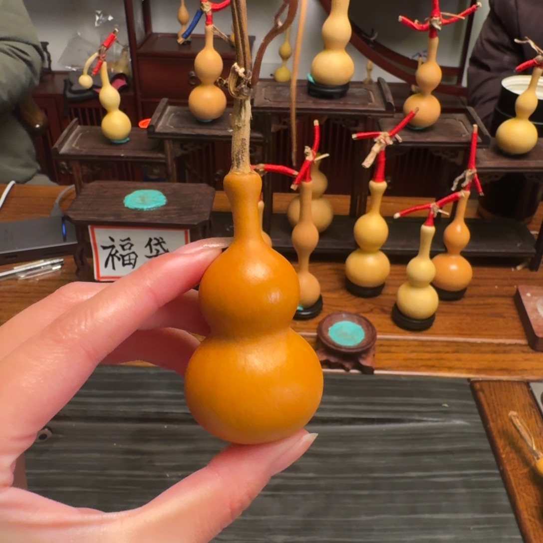 11葫芦葫芦葫芦葫芦