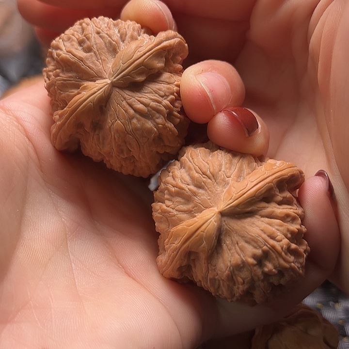 文玩核桃把件43白狮子