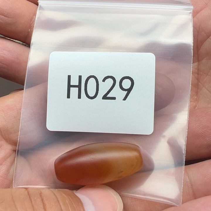 菩提根/象牙果手串