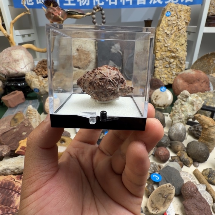 玉家居摆件家居标本
