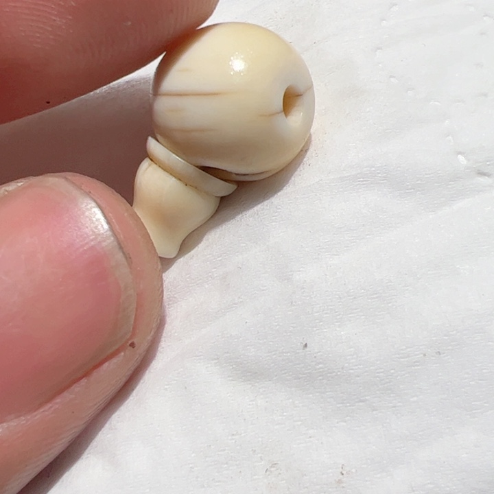 香榧木你的时候你是