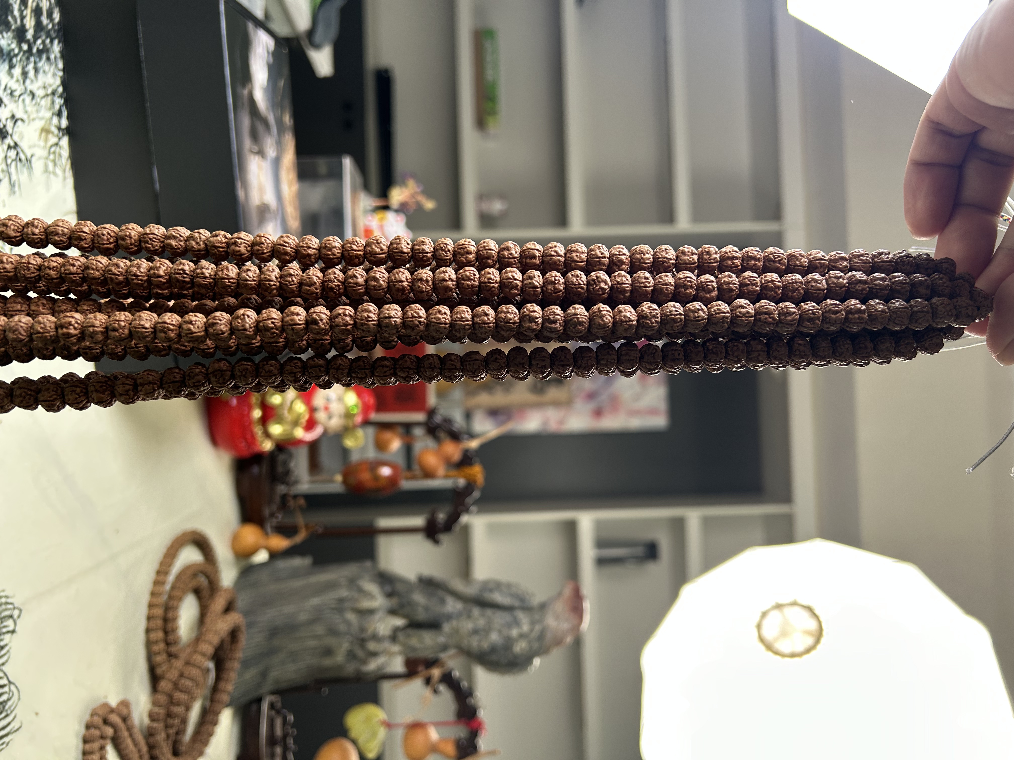 原生态老树王108+钢刷+莳光礼盒一套