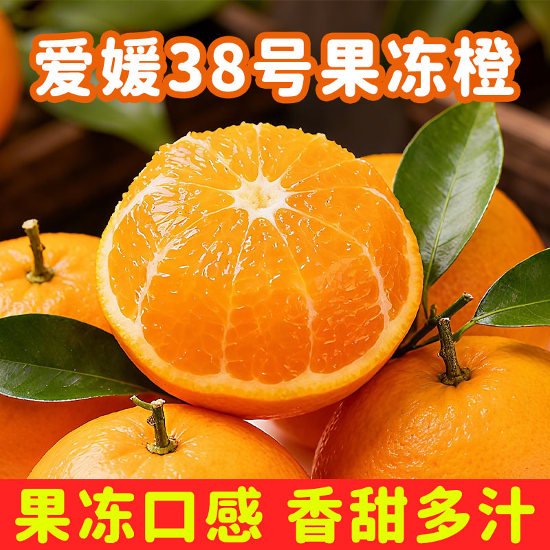 爱媛38号果冻橙，我直接给你们在果园里试吃了！