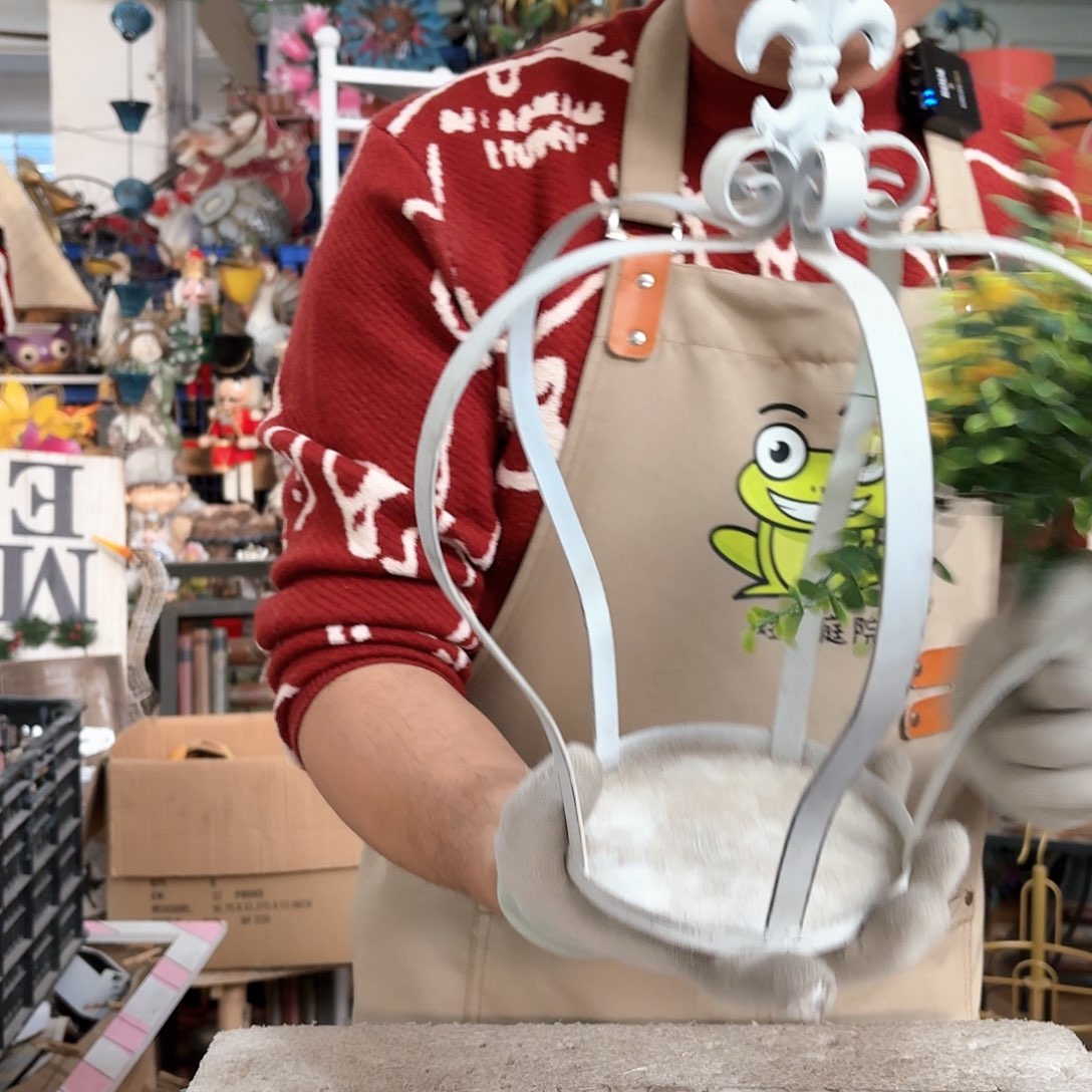 核桃木/黑胡桃（胡桃木）