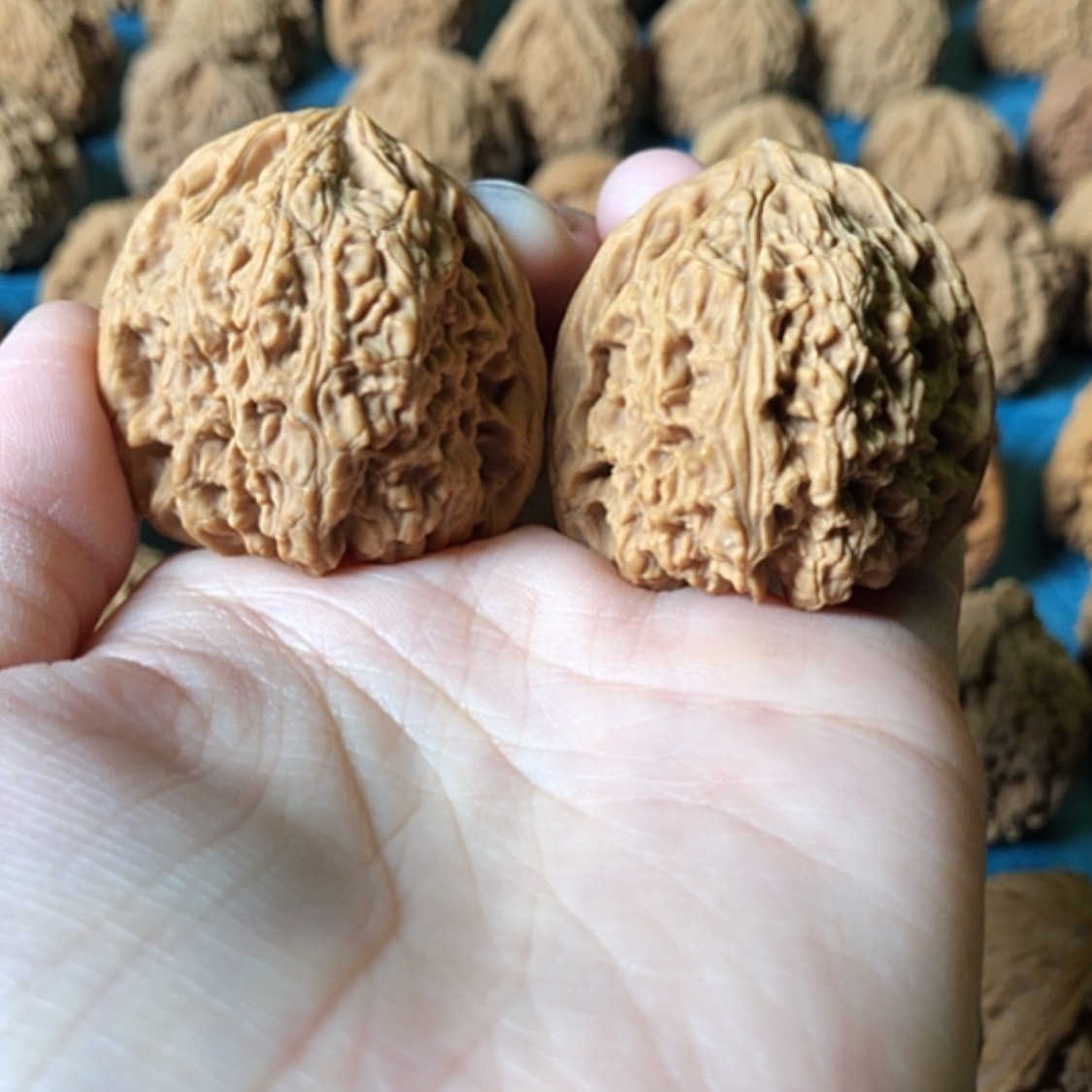 【闪购商品】文玩核桃把件抖****量一代将