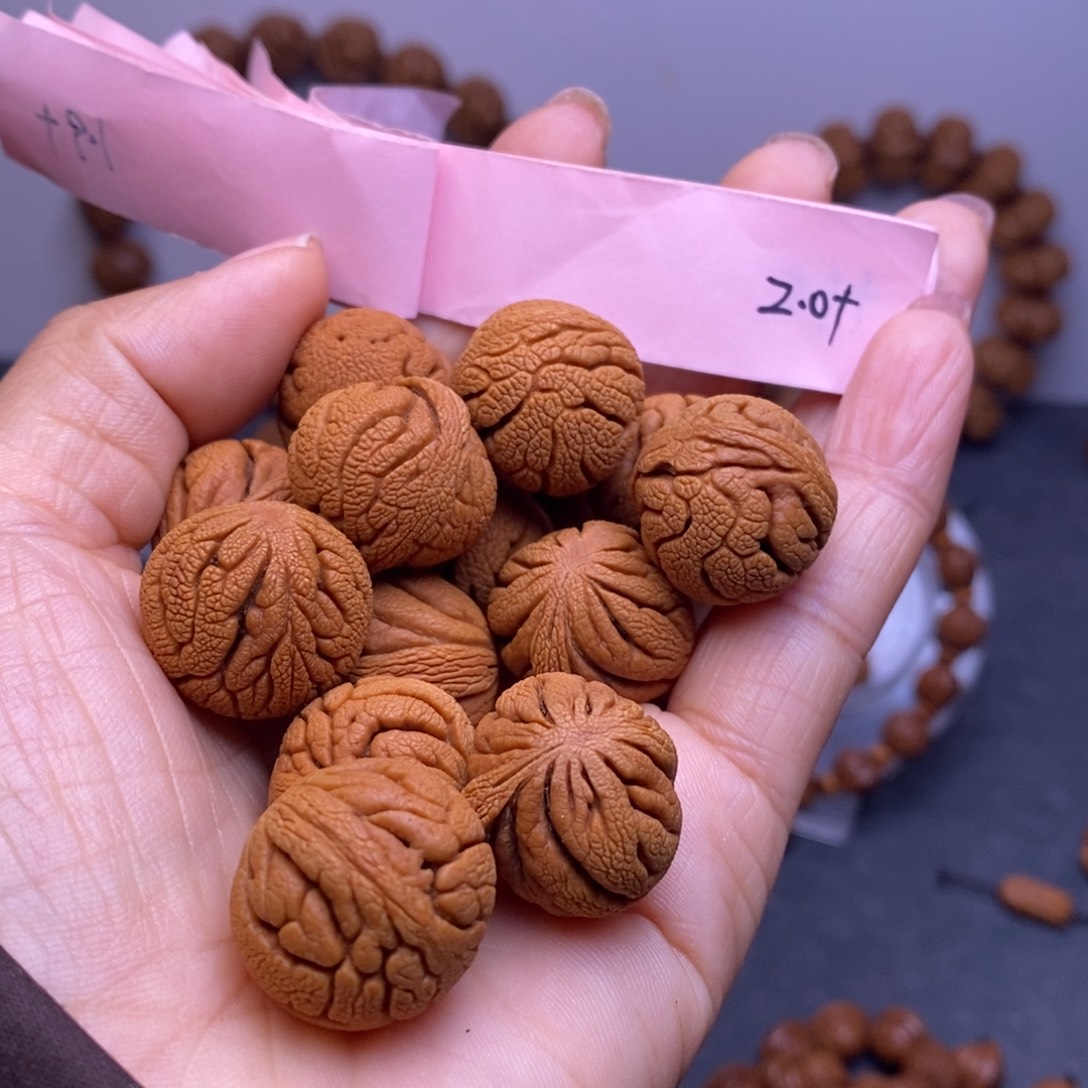 秦岭龙纹桃核14颗