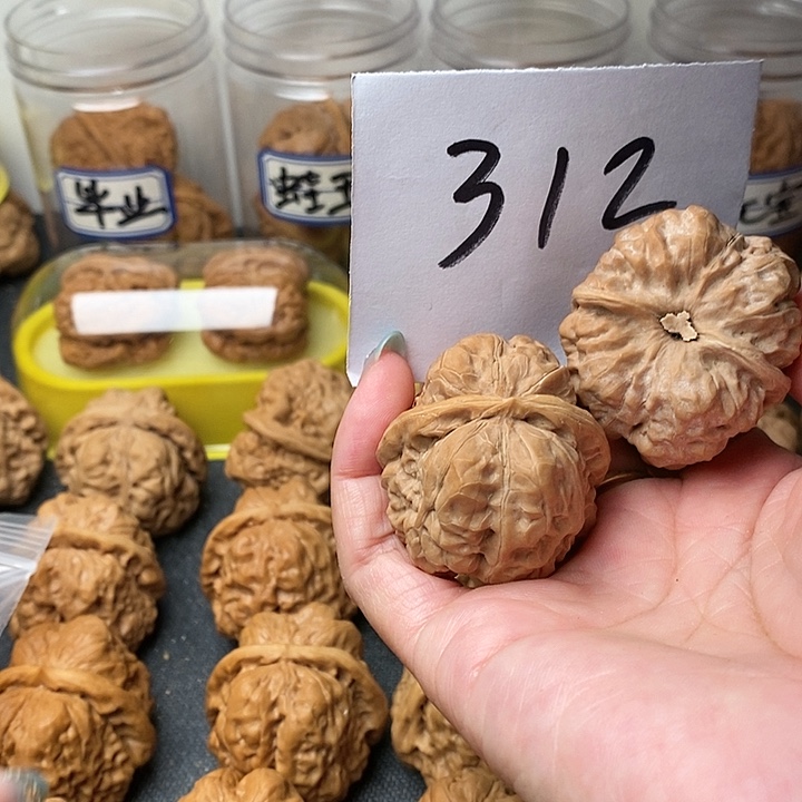 吴***茜核桃蛤蟆洞等景点和景点有丰富