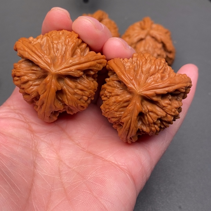 晴***里木质类核桃核桃荷兰