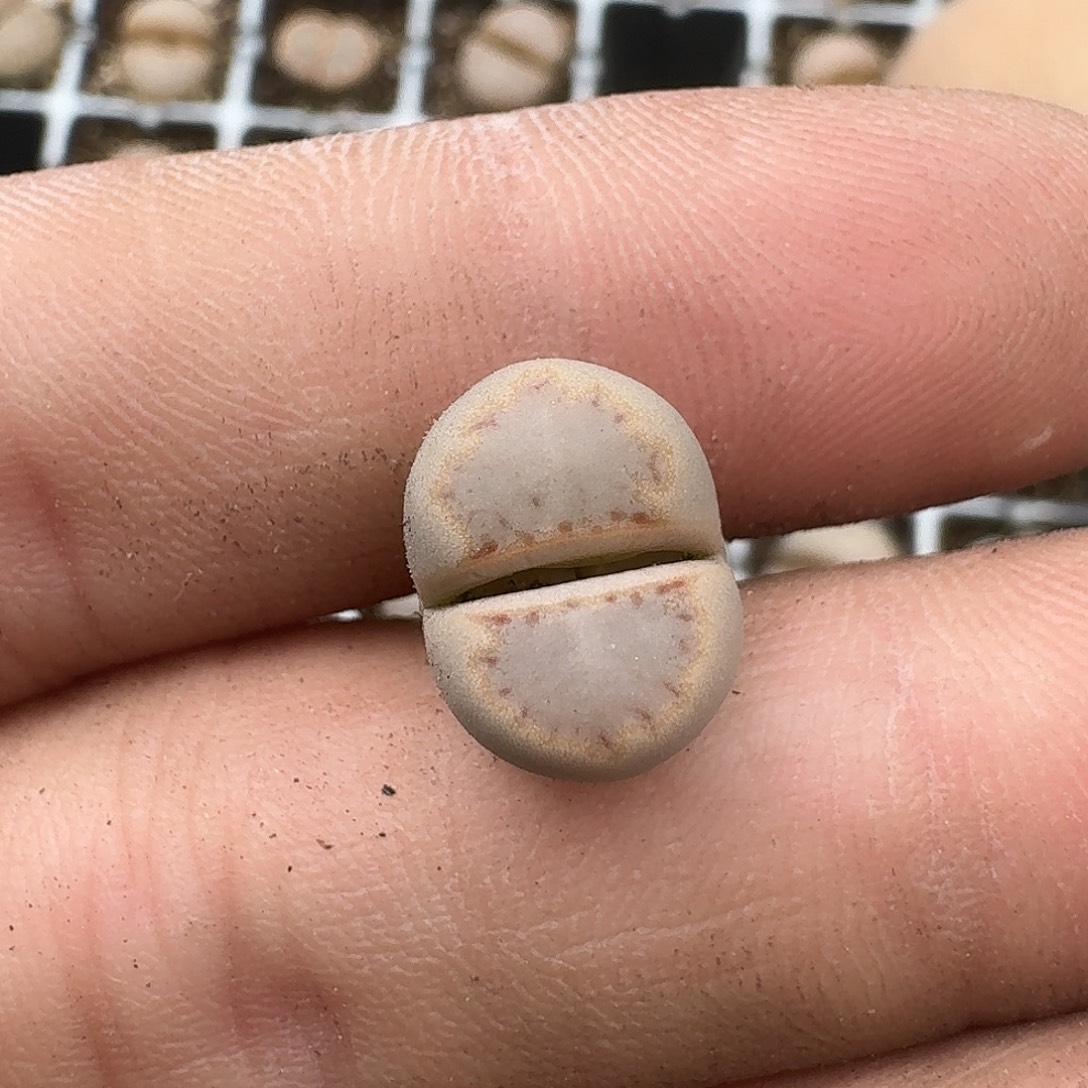 548 哈哈哈哈哈哈哈哈哈哈哈