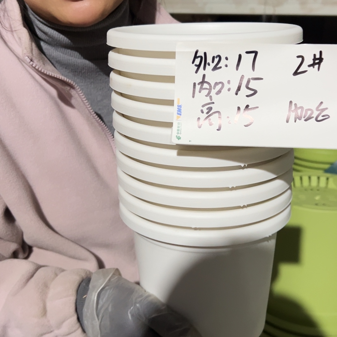 四季盆2#白色10个无托