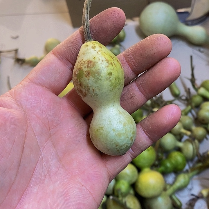 比*长嘴哈哈哈哈哈哈哈哈哈哈哈恍恍惚惚