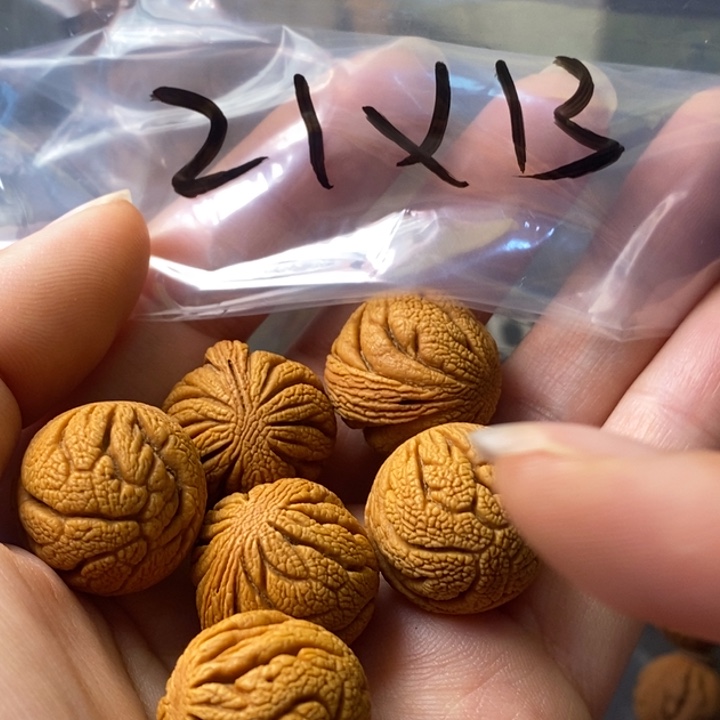 文玩核桃手串秦岭野生龙纹桃核21