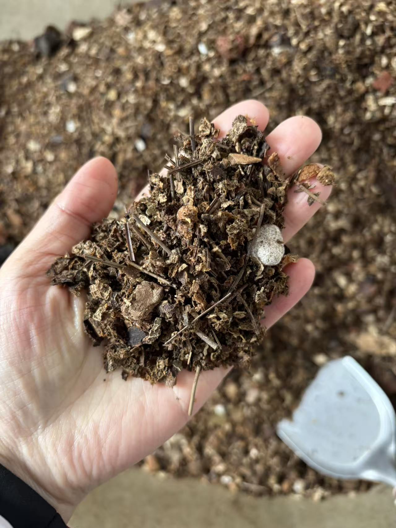 蕙兰花草专用腐熟营养土植料松针树叶松树皮花生壳