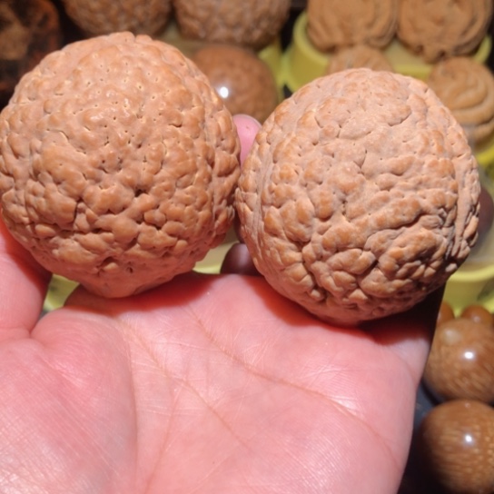 文玩核桃把件练手金刚菩提