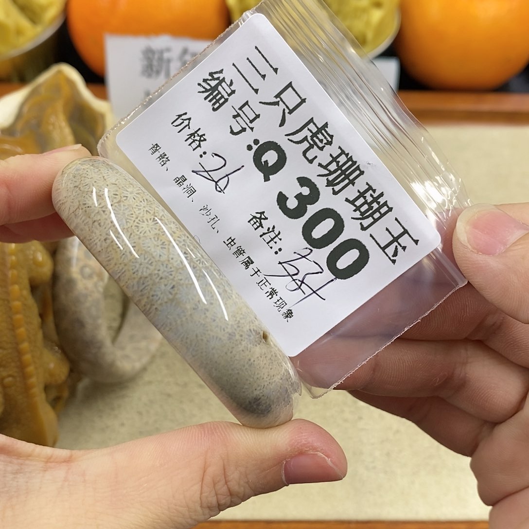 硅化珊瑚（珊瑚玉）1未镶嵌眼***推