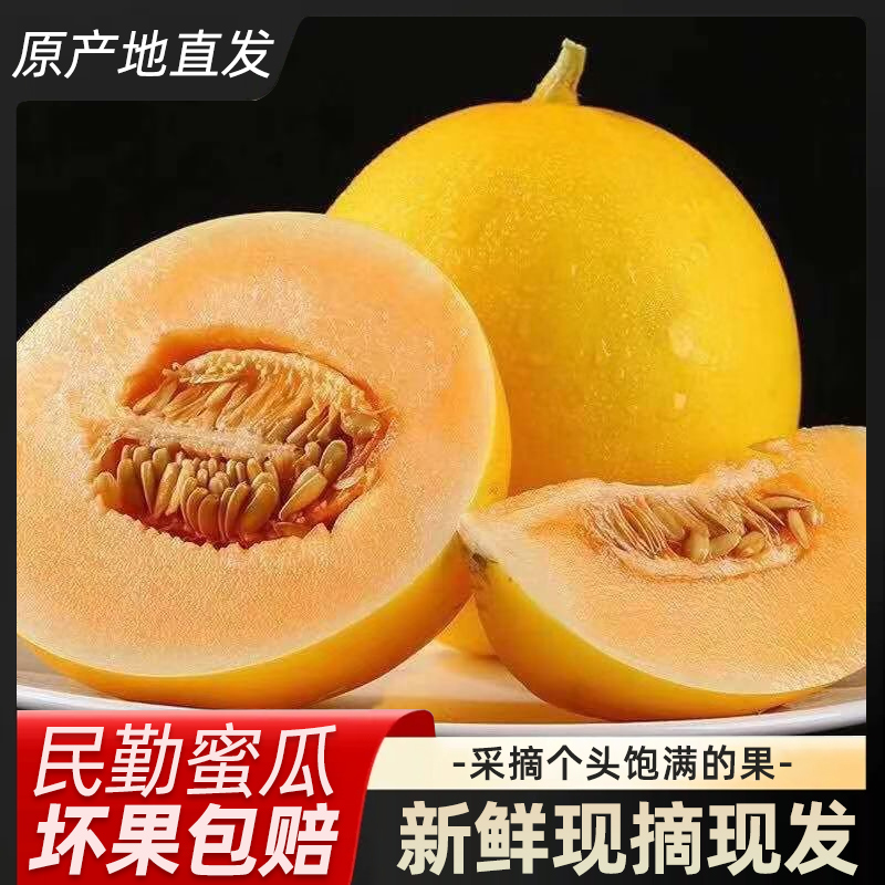 【荣予】甘肃民勤沙漠蜜瓜金红宝黄金蜜瓜带箱9-10斤 2-3个