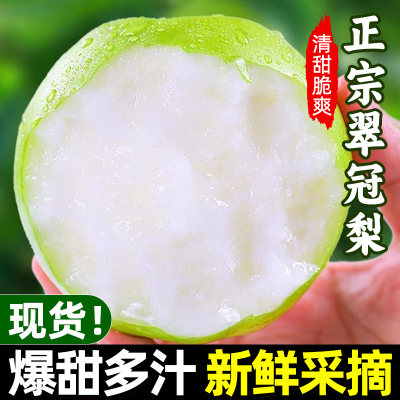 【现摘现发】正宗砀山青梨青皮5斤整箱当季水果新鲜皇冠梨香甜可口