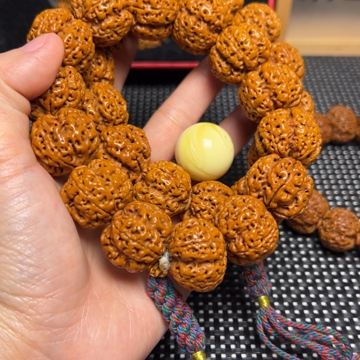 手串金刚菩提飞碟帝王花