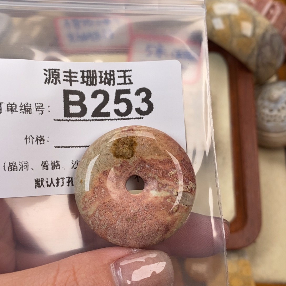 硅化玉颈饰未镶嵌银*
