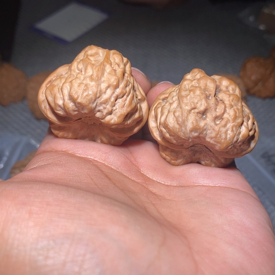 把件桃核41尺蛤蟆