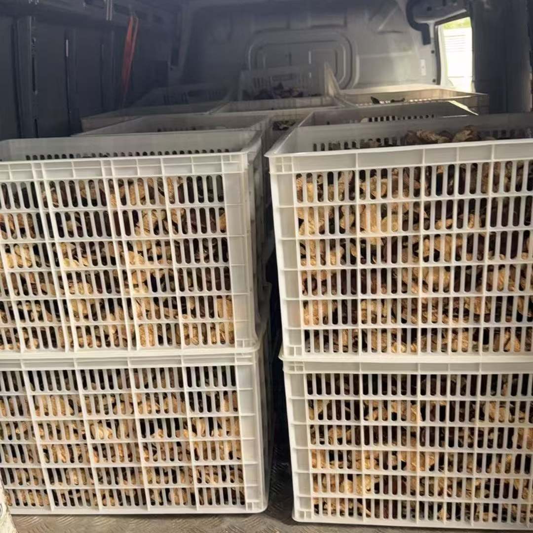 【直播链接】新会陈皮 新会发货 听清楚讲解再拍单