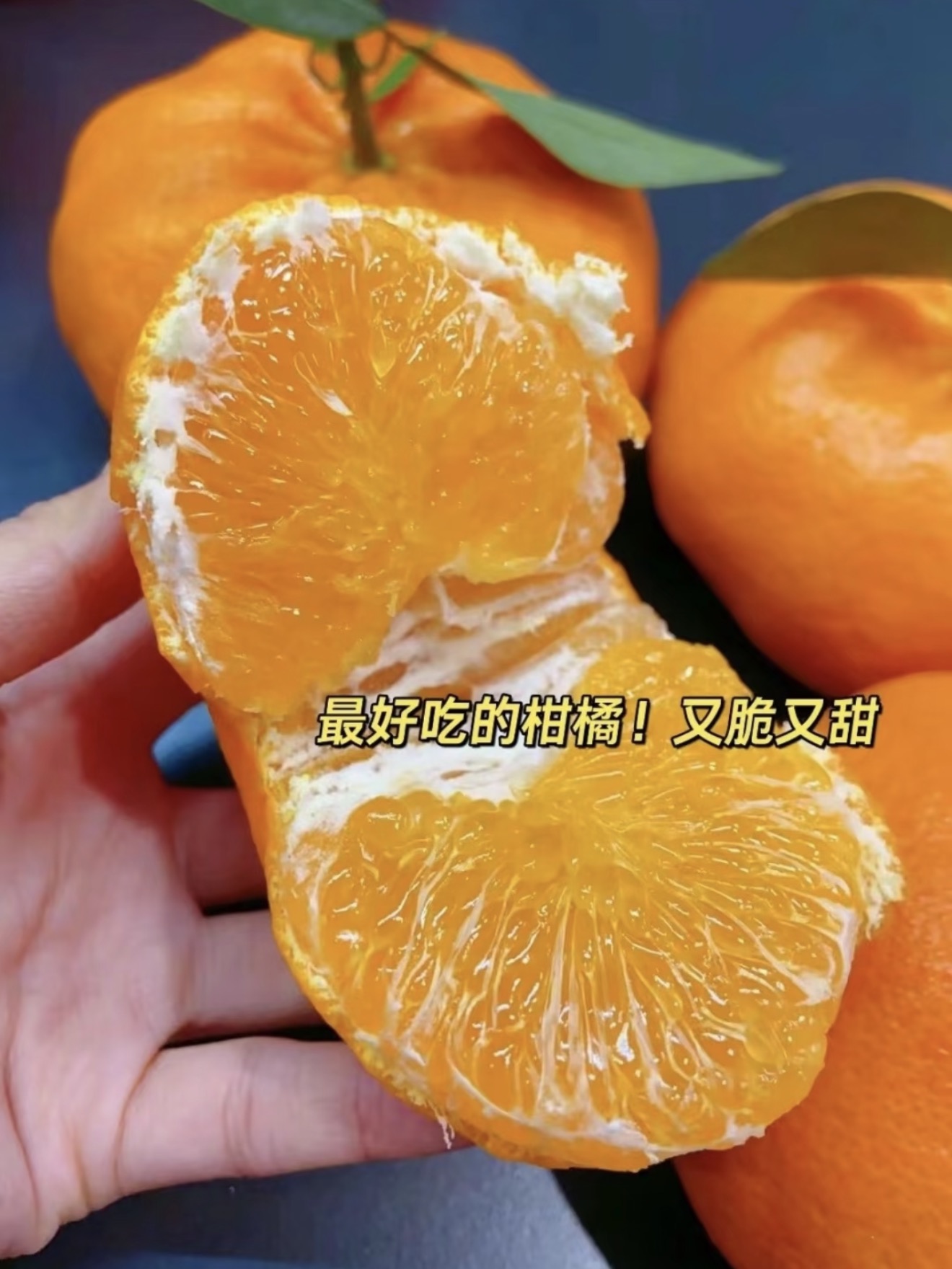 贵州正宗高山现摘柑橘当季水果产地直发