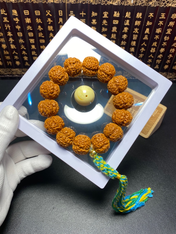 新品上架：满肉梅花（2号）